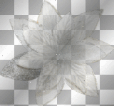  xmas, white, silver, winter, flower