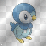 Piplup 