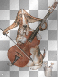 artemia