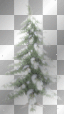 Christmas Tree with Snow