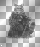 Warrior cat by papuzzetto