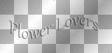 soave text flower lovers white