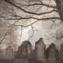 Background 480 ♫ dolcemelodia ♫