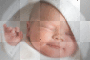 sweet baby