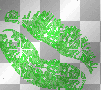 green lips animated glitter