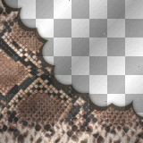 mejserr animal print frame bg background