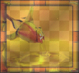 Gold Red Yellow Rose Background Frame Border_