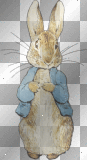 BACKGROUND RABBIT BEATRIX POTTER TRANSPARENT BACKGROUND RABBIT BEATRIX POTTER TRANSPARENT