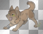 wolf's rain ~ Toboe wolf's rain ~ Toboe