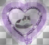 heart bl