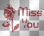 MISS YOU-SOFIA