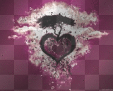Amore