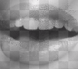 bouche