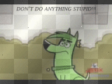 dont do anything stupid