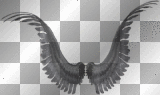 Goth angel-wings Louise♥♥ 