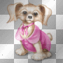 Little dog