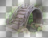 artemia transparent bridge-in-nature