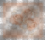 orange roses animated<yvon@ll>