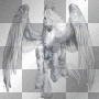 Howrse Pegasus [ Yilan° ]