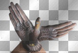 artemia transparent deco wing(s)-hand