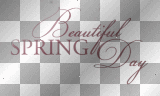 soave text spring beautiful pink