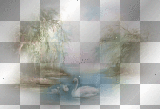 seni33 landschaft landscape bird water