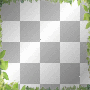 green leaves frame spring 
