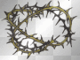 crown of thorn loaded by KarenR