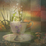 fantasy garden