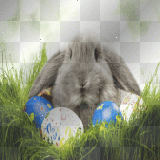 easterbunny in grass with eggs animated bg