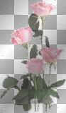 accessories deco rosa pink ludmilla1959