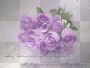 rosas purpura-1983noly-