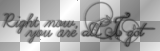 Right now, you are all I got (Stefan Salvatore to Damon white black transparent quote) [nermai]
