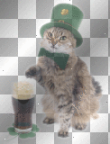 happy st.patrick`s day