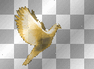 Gold bird dove_