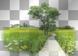spring landscape