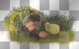 SPRING EASTER EGG CHICKEN GREEN GRASS