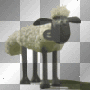 funny sheep funny sheep