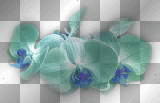 Flowers Teal