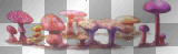 mushrooms soave  pink