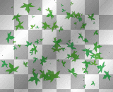 Green Maple Leaves 
