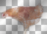 chicken / Huhn - melarocks_stamps
