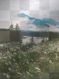 natur ludmilla1959