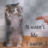 It Wasn't Me. I Swear   By BRU 