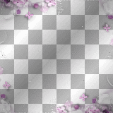 Frame flowers spring pink