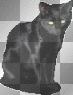 Black Cat!!!LW