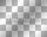 artemia text-texte live-life-with-intention
