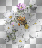 bee and flowers spring