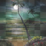 summer moon palm ocean animated bg 