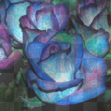 Vintage Roses blue purple background EndlessImpressions